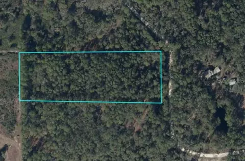 tbd SE 91st Trl, Trenton, FL 32693