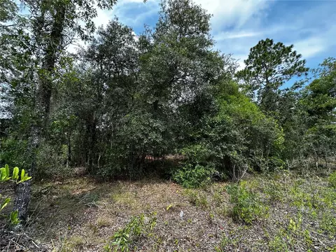150 SE 144th Ave, Williston, FL 32696 photo 10