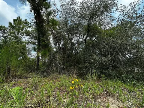 150 SE 144th Ave, Williston, FL 32696 photo 5