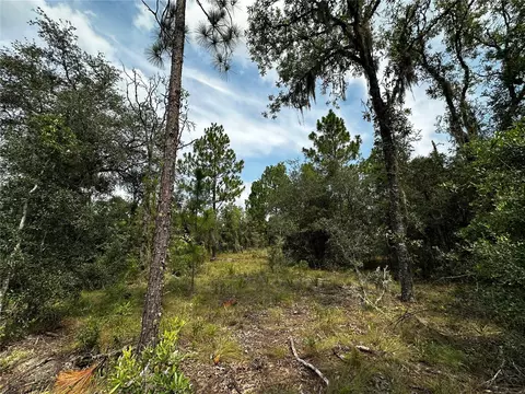 150 SE 144th Ave, Williston, FL 32696 photo 4