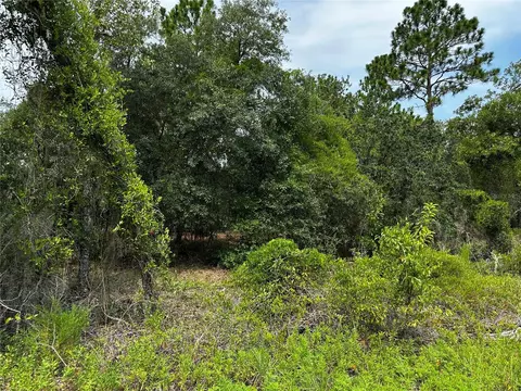 150 SE 144th Ave, Williston, FL 32696 photo 6