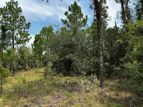 150 SE 144th Ave, Williston, FL 32696 photo 3