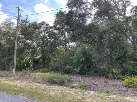 Olive Road, Ocala, FL 34472 photo 4
