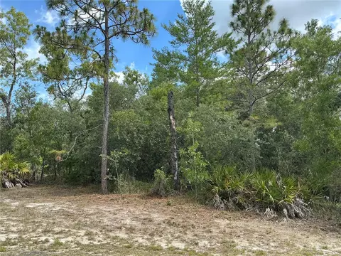 Persimmon Avenue, Weeki Wachee, FL 34614