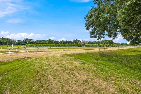 3825 NW 160th St, Reddick, FL 32686 photo 30