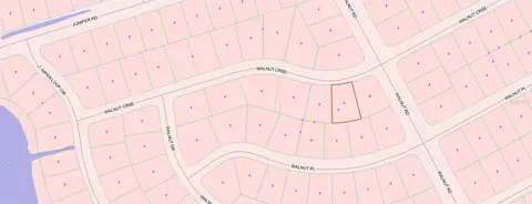 00 Walnut Crse, Ocala, FL 34480 photo 4