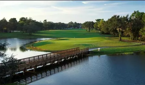 View/Area - 1636 W Spring Meadow Loop, Lecanto, FL 34461 photo 6 of 6