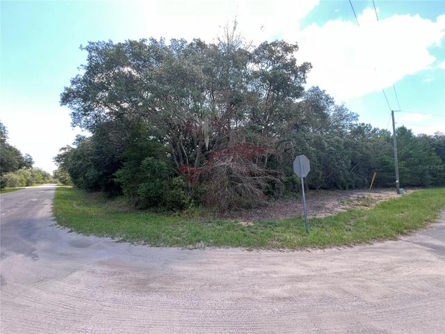 lot36 Blk1140 Fisher Way Trl, Ocklawaha, FL 32179