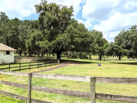 Exterior - 1750 SE 80th St, Ocala, FL 34480 photo 17 of 25