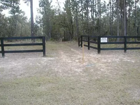 Other - 4611 N Rushmore Loop, Beverly Hills, FL 34465 photo 7 of 7
