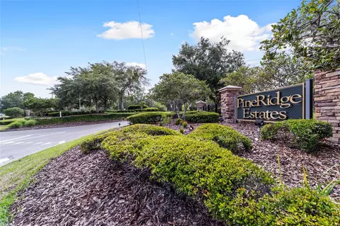 View/Area - 4611 N Rushmore Loop, Beverly Hills, FL 34465 photo 5 of 18