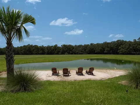 View/Area - 8351 NW 110th St, Reddick, FL 32686 photo 1 of 2