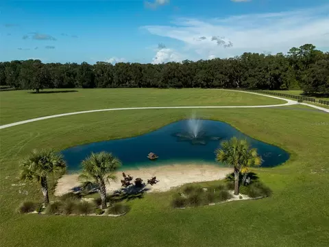 View/Area - 8351 NW 110th St, Reddick, FL 32686 photo 2 of 4