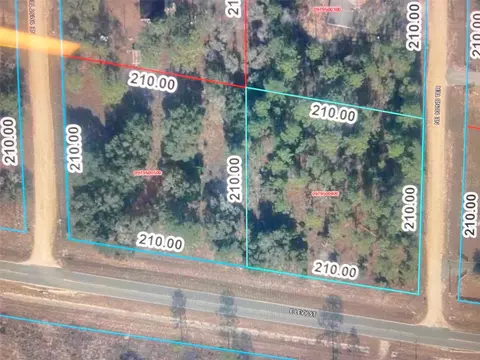 Levy Street, Williston, FL 32696 photo 26