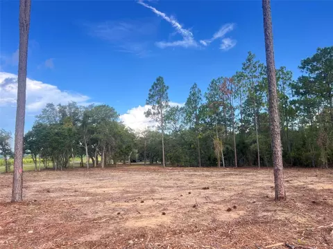 Levy Street, Williston, FL 32696 photo 18