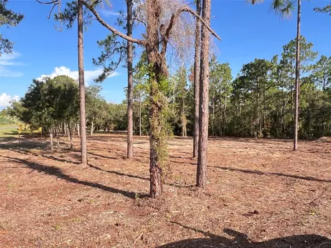 Levy Street, Williston, FL 32696 photo 6