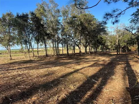 Levy Street, Williston, FL 32696 photo 12