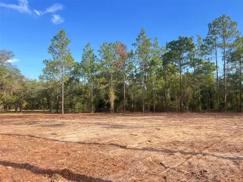Levy Street, Williston, FL 32696 photo 20