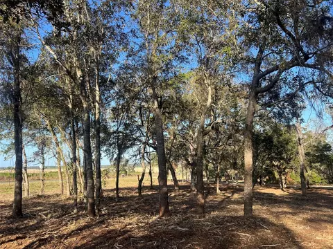 Levy Street, Williston, FL 32696 photo 14