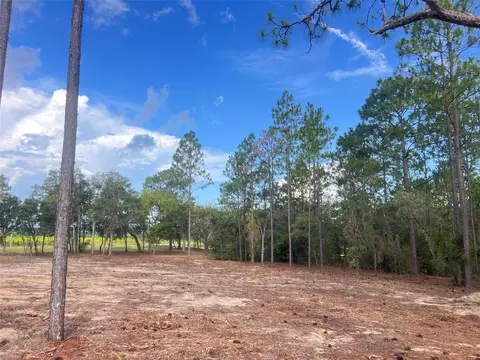 Levy Street, Williston, FL 32696 photo 17