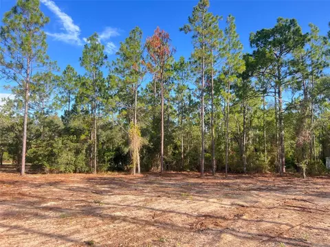Levy Street, Williston, FL 32696 photo 4