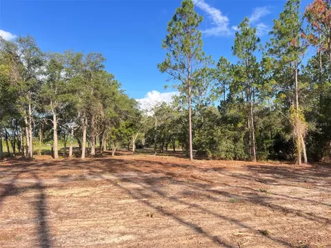 Levy Street, Williston, FL 32696 photo 3