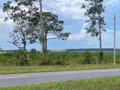 Levy Street, Williston, FL 32696 photo 11
