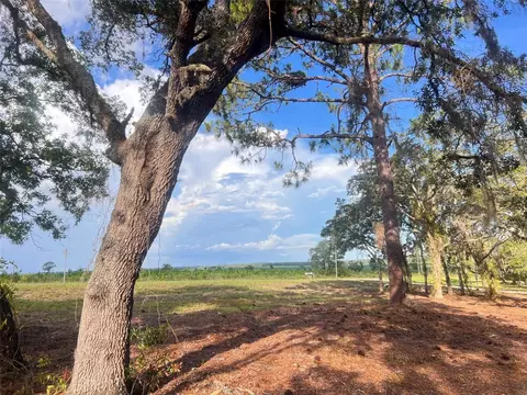 Levy Street, Williston, FL 32696 photo 1