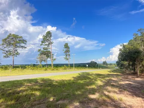 Levy Street, Williston, FL 32696 photo 21