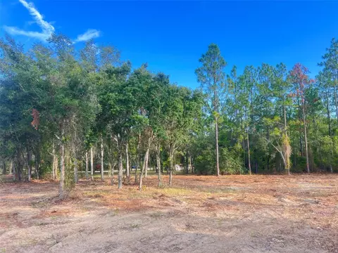 Levy Street, Williston, FL 32696 photo 22