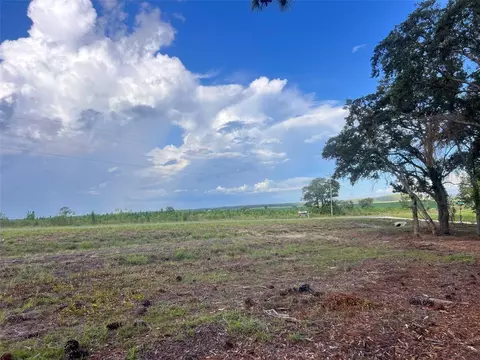 Levy Street, Williston, FL 32696 photo 9