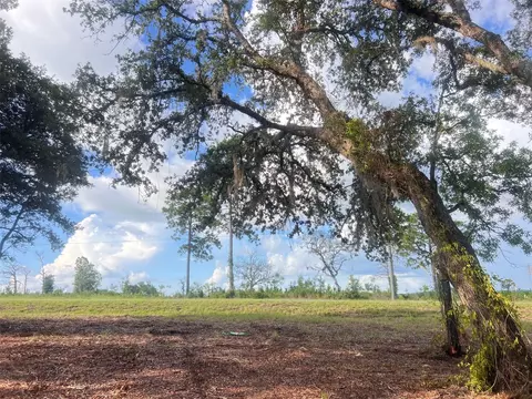 Levy Street, Williston, FL 32696 photo 25