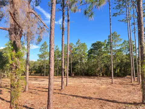 Levy Street, Williston, FL 32696 photo 7
