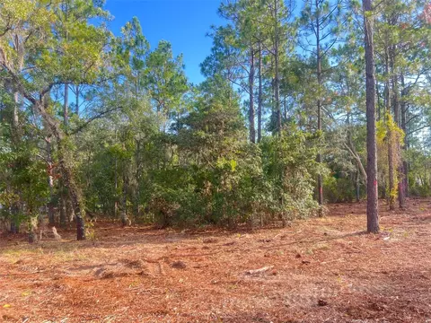 Levy Street, Williston, FL 32696 photo 24