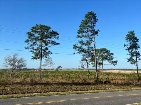 Levy Street, Williston, FL 32696 photo 10