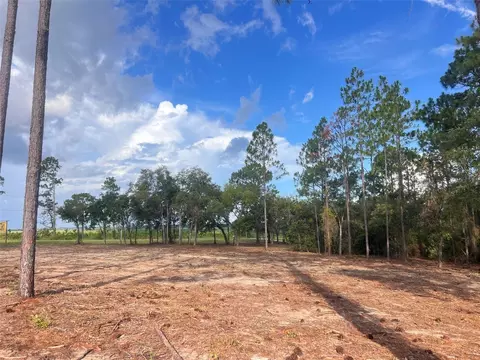 Levy Street, Williston, FL 32696 photo 16