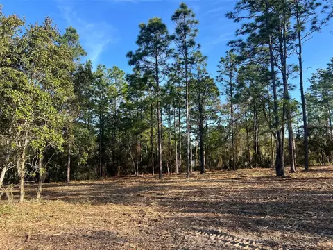 Levy Street, Williston, FL 32696 photo 15