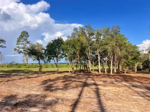 Levy Street, Williston, FL 32696 photo 2