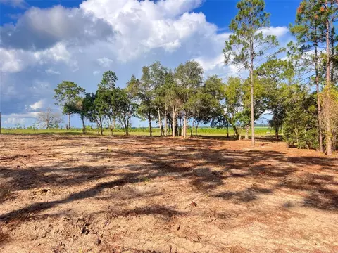 Levy Street, Williston, FL 32696 photo 5