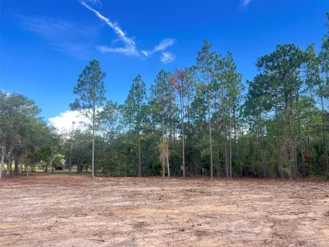 Levy Street, Williston, FL 32696 photo 19