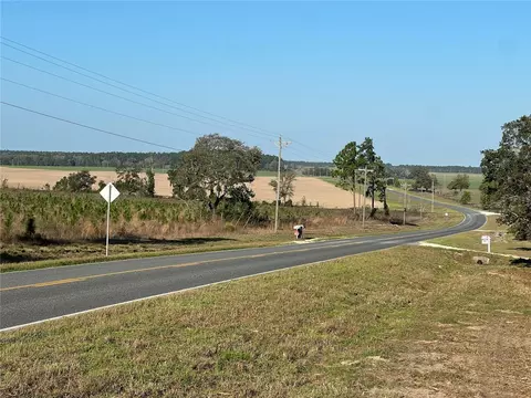 Levy Street, Williston, FL 32696 photo 8