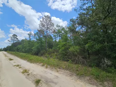 0000 NE 40th Ln, Williston, FL 32696 photo 5