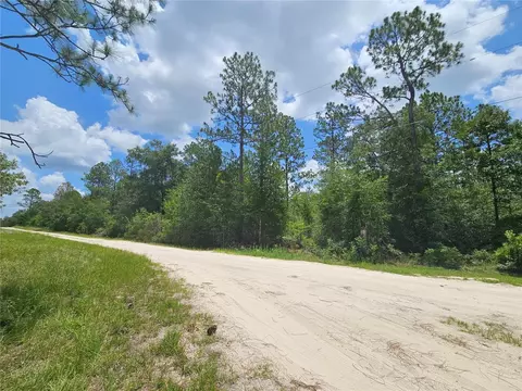 0000 NE 40th Ln, Williston, FL 32696 photo 3