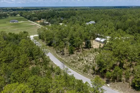NE 4th Lane, Williston, FL 32696 photo 9