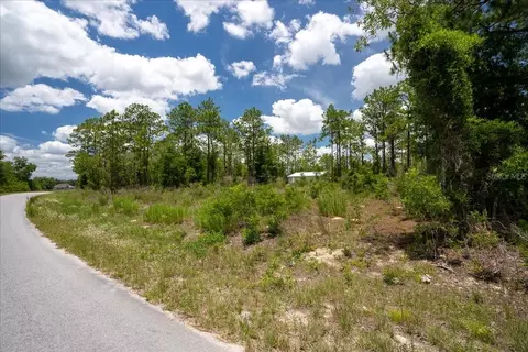 NE 4th Lane, Williston, FL 32696 photo 5
