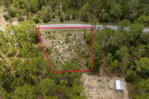 NE 4th Lane, Williston, FL 32696 photo 2