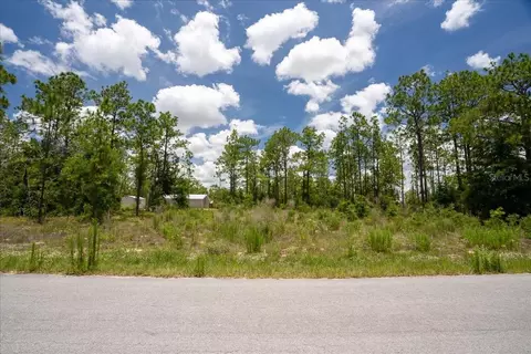 NE 4th Lane, Williston, FL 32696 photo 4