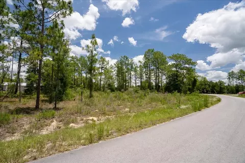 NE 4th Lane, Williston, FL 32696 photo 3