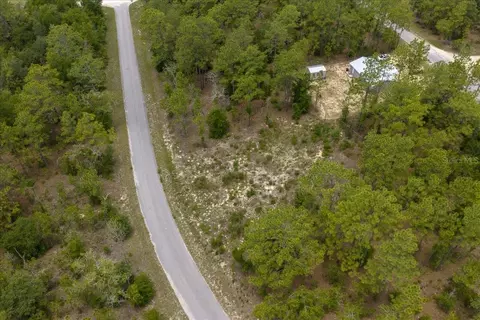 NE 4th Lane, Williston, FL 32696 photo 6