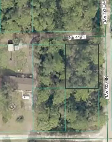NE 41st Place, Silver Springs, FL 34488